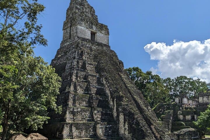 Tikal Day Tour from San Ignacio: Maya Temples, Jungle Wildlife & Border Assistance photo 2