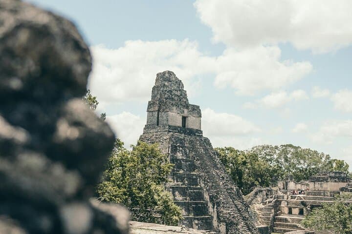 Tikal Day Tour from San Ignacio: Maya Temples, Jungle Wildlife & Border Assistance photo 3