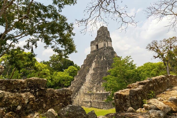 Tikal Day Tour from San Ignacio: Maya Temples, Jungle Wildlife & Border Assistance