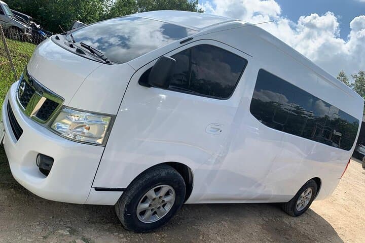 Tikal Day Tour from San Ignacio: Maya Temples, Jungle Wildlife & Border Assistance photo 6