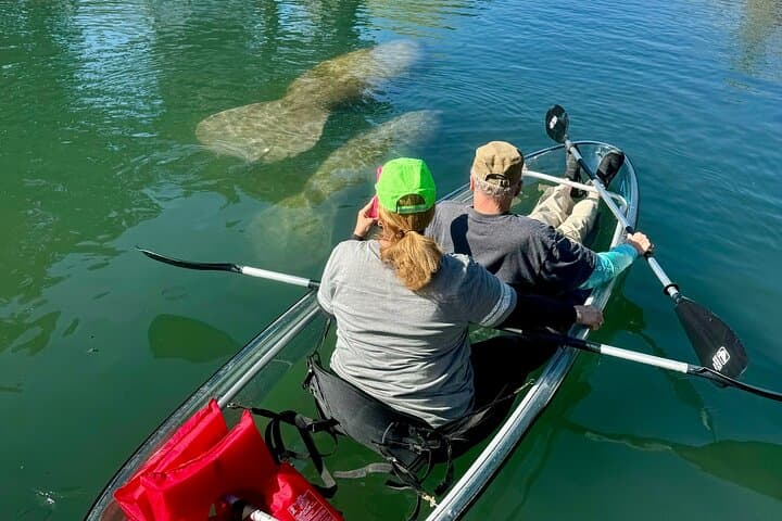 Clear Kayak & Snorkel with Manatees at Three Sisters Springs photo 4