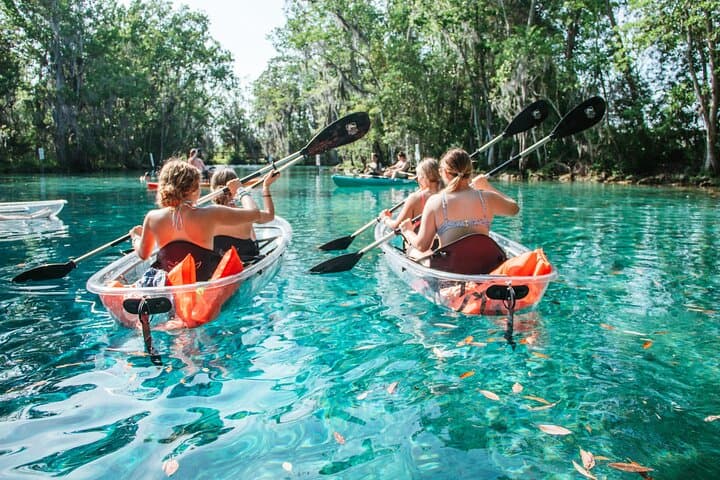 Clear Kayak & Snorkel with Manatees at Three Sisters Springs photo 6