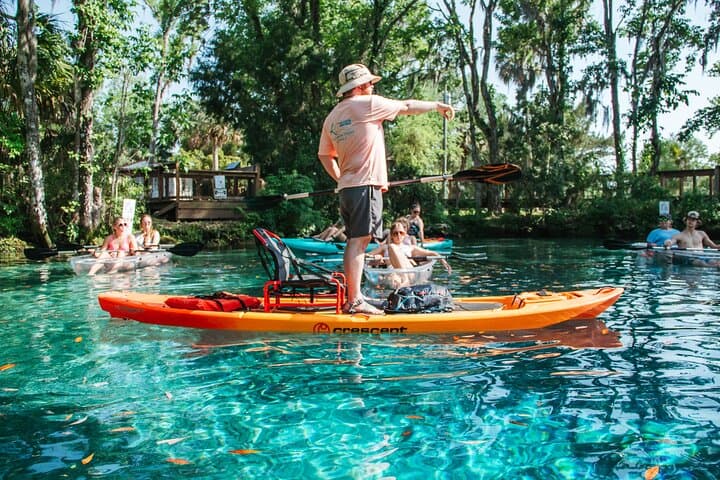 Clear Kayak & Snorkel with Manatees at Three Sisters Springs photo 3