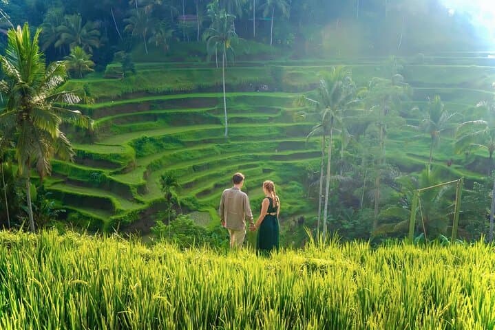 Ubud Private Tour: Rice Terraces, Jungle Swing & Hidden Waterfalls photo 4
