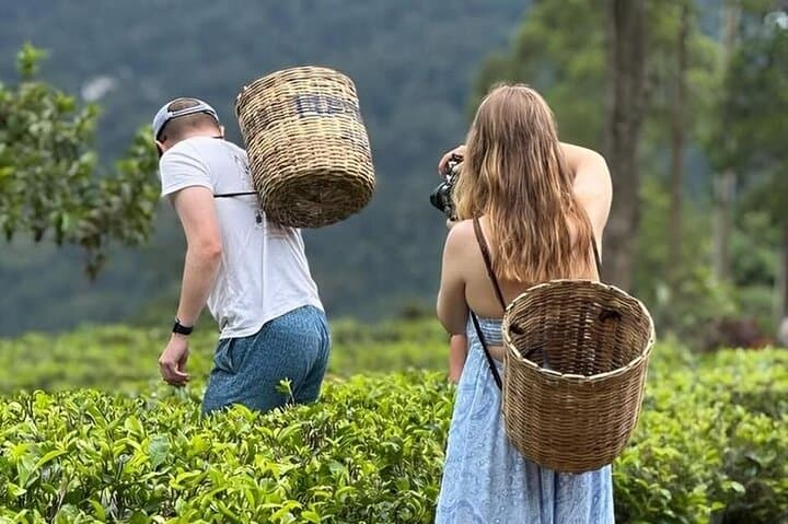Ramboda Falls & Tea Trails: Tuk Tuk Day Trip from Nuwara Eliya photo 1