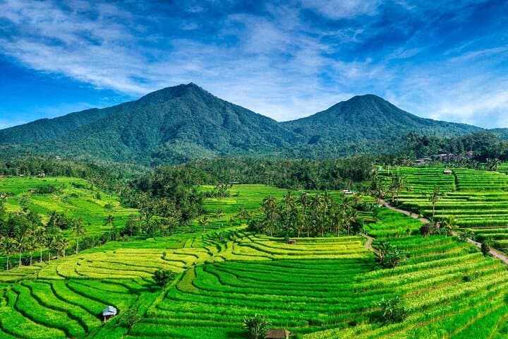 Bali Hidden Gems: Nungnung & Banyuwana Waterfall Day Trip with Jatiluwih Rice Terrace photo 3