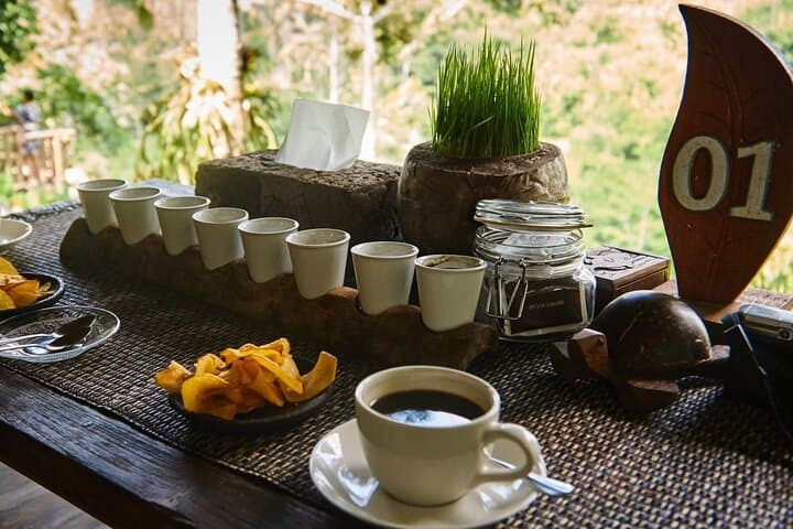 Bali Hidden Gems: Nungnung & Banyuwana Waterfall Day Trip with Jatiluwih Rice Terrace photo 4