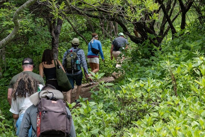 Hierve el Agua Early-Access Half-Day: Swim the Petrified Waterfalls with a Personal Guide photo 4