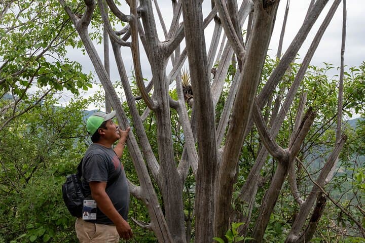 Hierve el Agua Early-Access Half-Day: Swim the Petrified Waterfalls with a Personal Guide photo 5