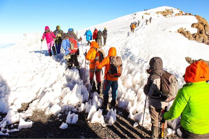 7-Day Machame Route: Kilimanjaro 7-Day Summit Trek from Moshi photo 2