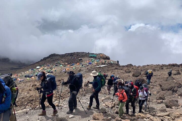Lemosho Route: 7-Day Kilimanjaro Private Hike to Uhuru Peak photo 3
