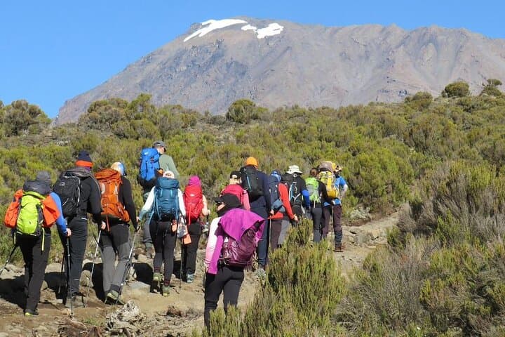 7-Day Machame Route: Kilimanjaro 7-Day Summit Trek from Moshi photo 4