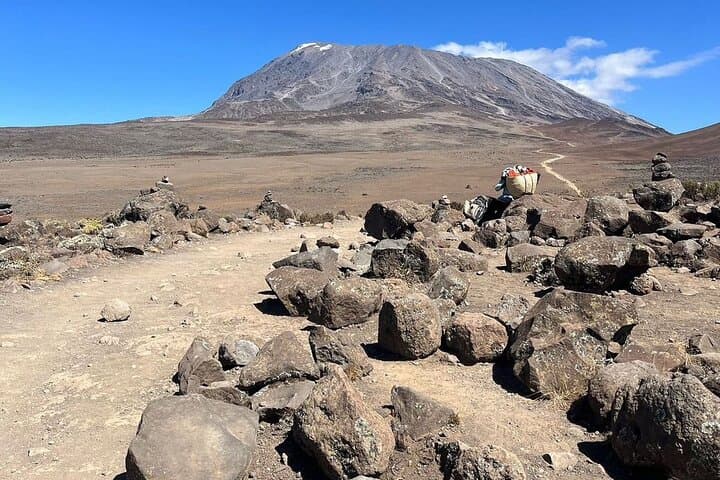 7-Day Machame Route: Kilimanjaro 7-Day Summit Trek from Moshi photo 6