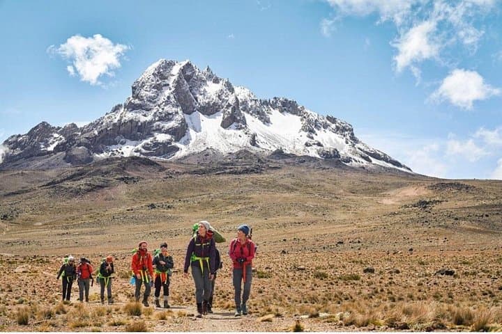 Marangu Route 6-Day Mount Kilimanjaro Trek — Summit Uhuru Peak via the Coca-Cola Route photo 6