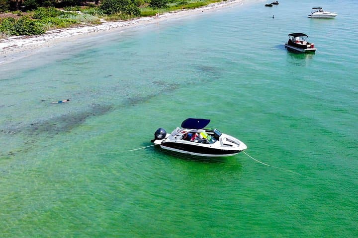 Private Luxury Boat Charter to Shell Key Preserve — Tampa Bay Day Cruise photo 2