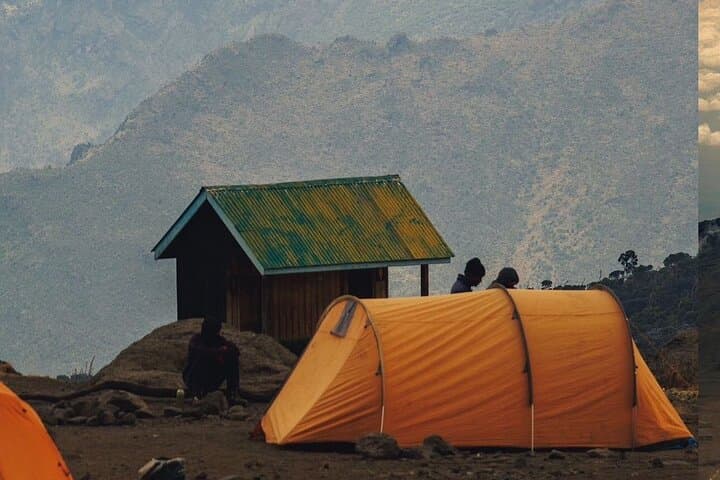 Lemosho Route: 7-Day Kilimanjaro Private Hike to Uhuru Peak photo 4