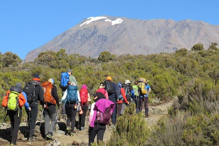 Lemosho Route: 7-Day Kilimanjaro Private Hike to Uhuru Peak photo 5