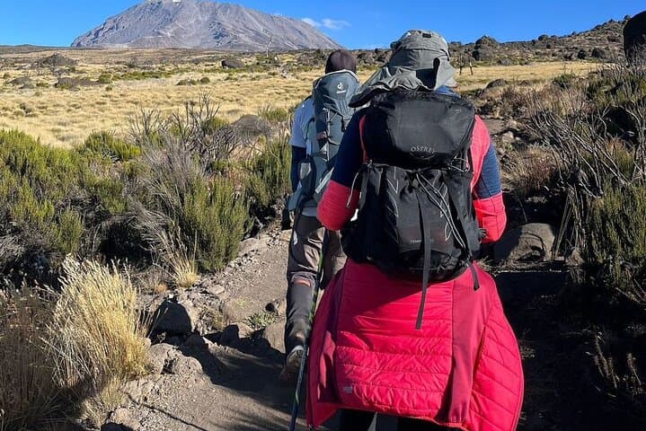 Lemosho Route: 7-Day Kilimanjaro Private Hike to Uhuru Peak photo 6