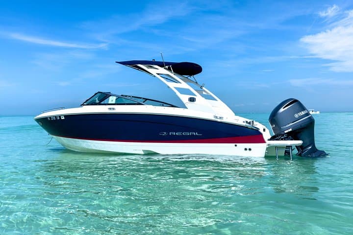 Private Luxury Boat Charter to Shell Key Preserve — Tampa Bay Day Cruise photo 4