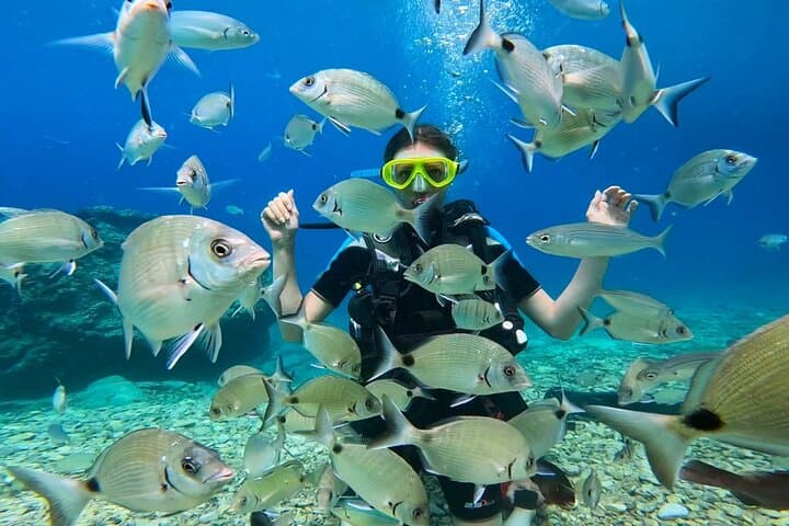 Oludeniz Half-Day Scuba Diving Experience — Blue Cave & Lagoon Dives photo 5