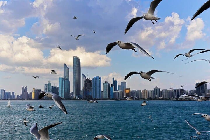 Half-Day Abu Dhabi Morning: Grand Mosque & City Highlights Tour photo 6