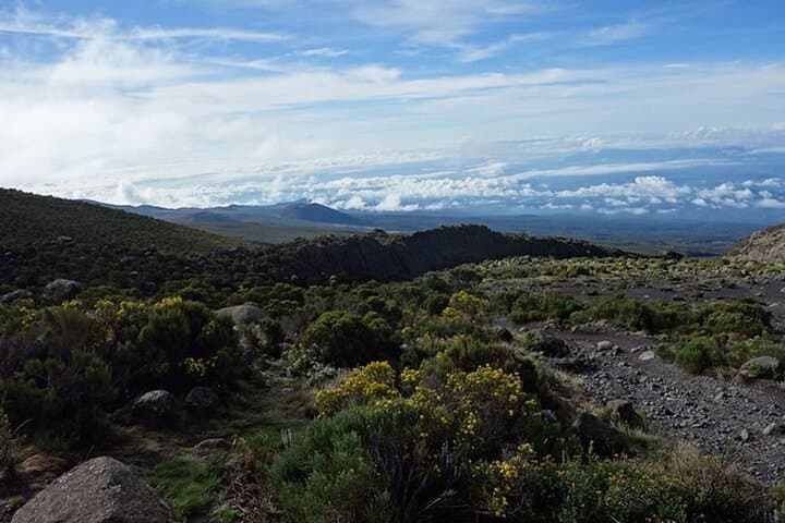 5-Day Marangu Route: Hut Trek to Uhuru Peak on Mount Kilimanjaro photo 2