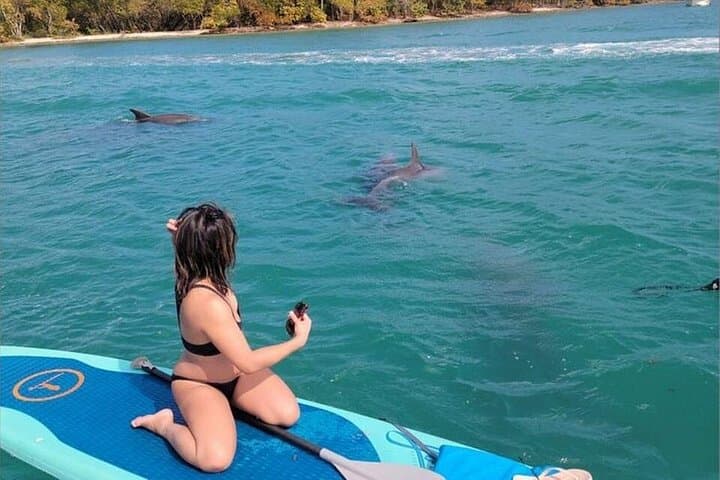 Miami Biscayne Bay Boat Tour with Sandbar & Raccoon Island Experience photo 2