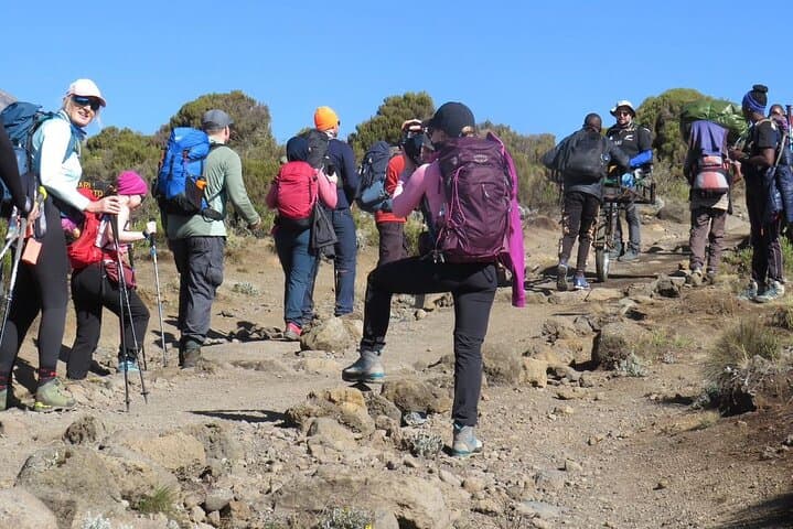 Marangu Route 6-Day Mount Kilimanjaro Trek — Summit Uhuru Peak via the Coca-Cola Route photo 4