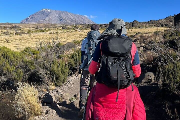 Marangu Route 6-Day Mount Kilimanjaro Trek — Summit Uhuru Peak via the Coca-Cola Route photo 5