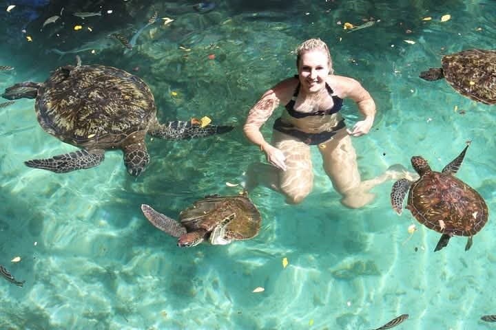 Mnemba Island Snorkel, Turtle Swim & Nungwi Dhow Sunset — Full-Day Experience photo 4