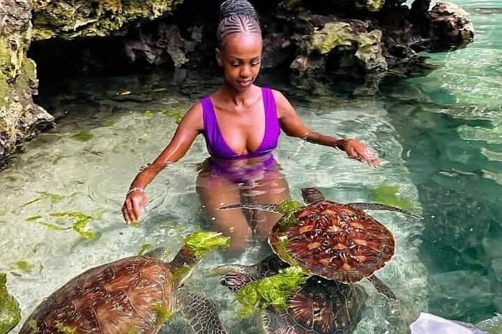 Mnemba Island Snorkel, Turtle Swim & Nungwi Dhow Sunset — Full-Day Experience