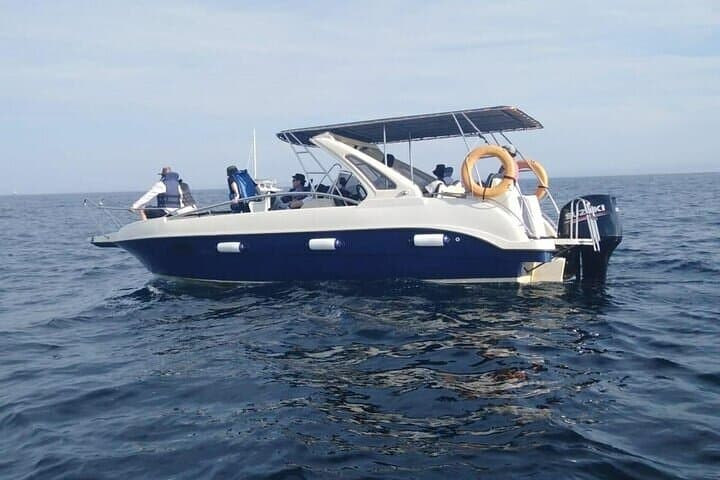 Speed-Boat Whale Watching in Mirissa: High-Speed Encounters with Blue Whales