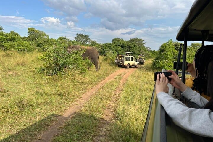 Full-Day Akagera National Park Private Safari — Big Five Game Drive from Kigali photo 2