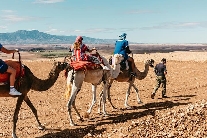 Agafay Desert Dinner Show: Quad Biking, Camel Trek & Berber Night from Marrakech photo 3