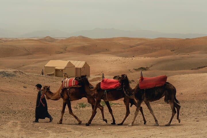 Agafay Desert Dinner Show: Quad Biking, Camel Trek & Berber Night from Marrakech photo 5