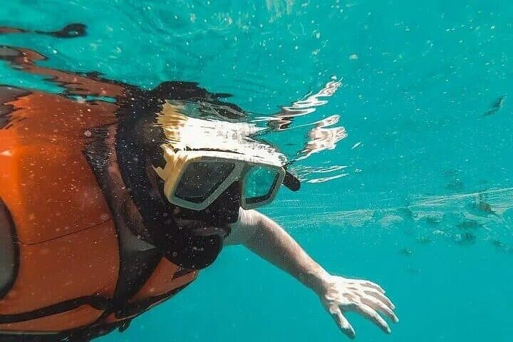 Snorkeling Port City Colombo: First-Timer’s Guide to Corals, Fish and Coastal Views photo 2
