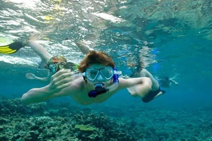Snorkeling Port City Colombo: First-Timer’s Guide to Corals, Fish and Coastal Views photo 3
