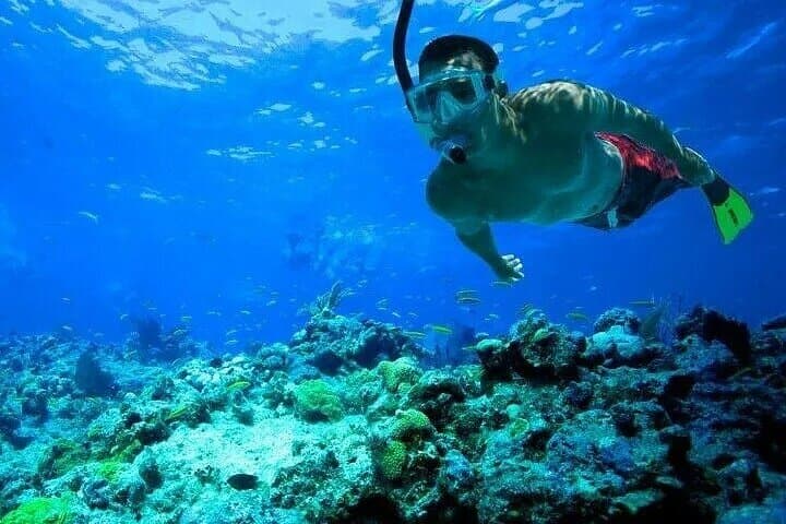 Snorkeling Port City Colombo: First-Timer’s Guide to Corals, Fish and Coastal Views photo 4