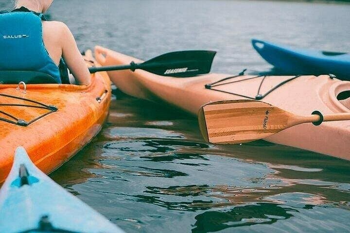 Paddling Port City: Hour-Long Canoe Tour Along Colombo's Coastal Edge photo 4