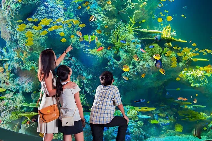 One-Day Singapore: Universal Studios & Gardens by the Bay Combo Ticket photo 4