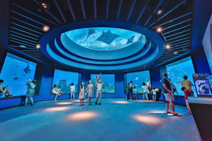 Universal Studios Singapore + Gardens by the Bay: One-Day Combo Guide photo 6