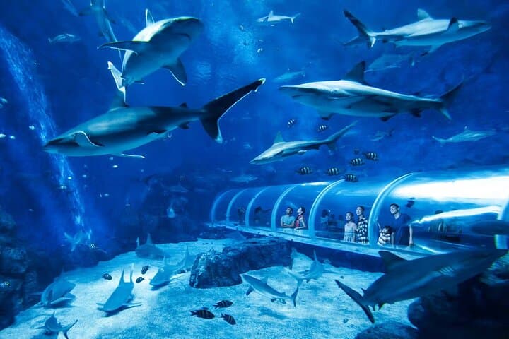 One-Day Singapore: Universal Studios & Gardens by the Bay Combo Ticket photo 3