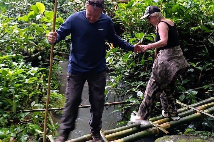 Explore Bali's Untamed Rainforest: Jungle Trek & Waterfall Experience photo 4