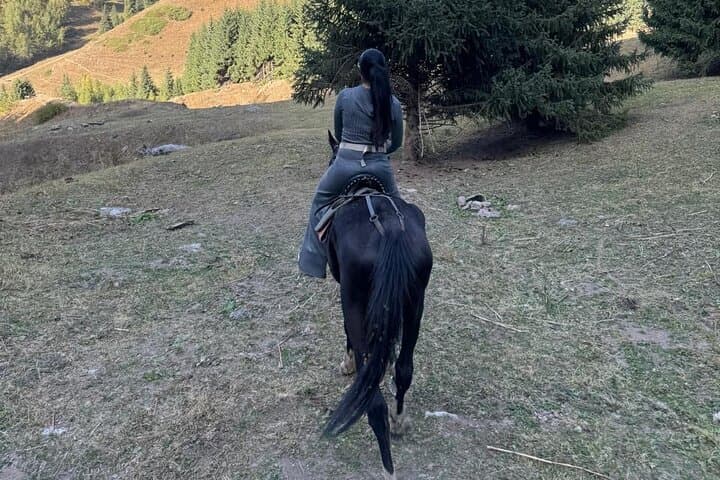 Horseback Ride to Butakovsky Waterfall: Gentle Alatau Trek from Almaty photo 2