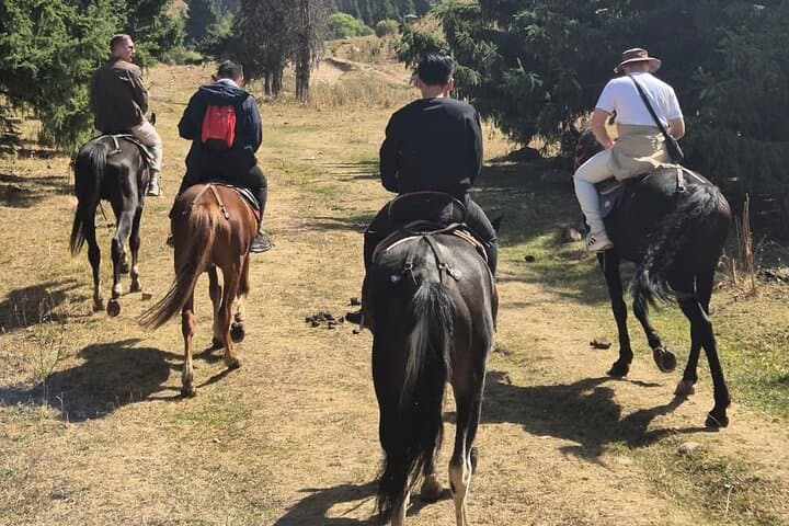Horseback Ride to Butakovsky Waterfall: Gentle Alatau Trek from Almaty photo 3