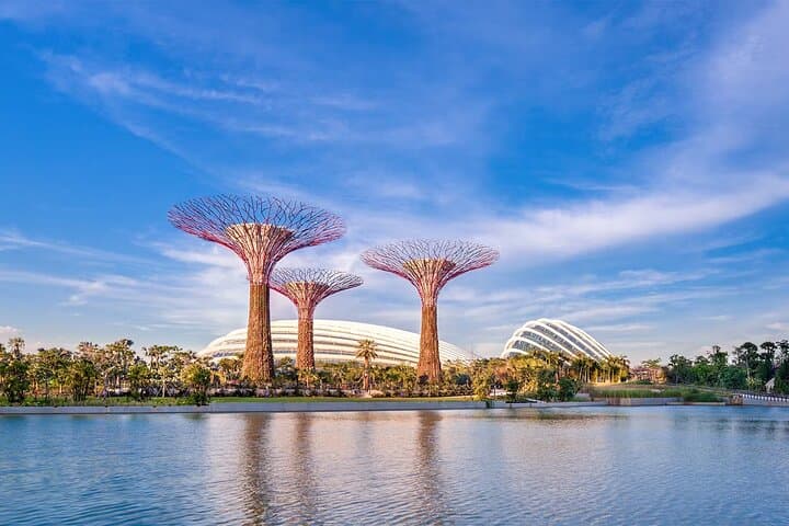 Gardens by the Bay & Marina Bay Sands: Cloud Forest, Supertree Grove and SkyPark Views photo 2