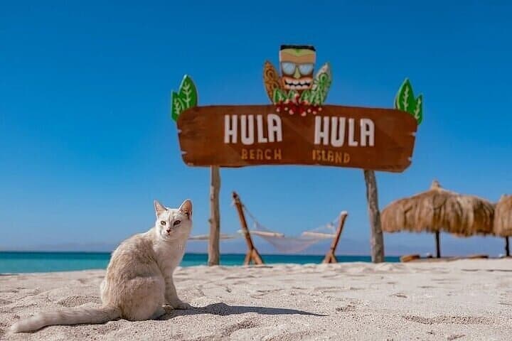 Hula Hula Paradise Island: Snorkel, Boat Ride & Lunch Day Trip from Hurghada photo 3
