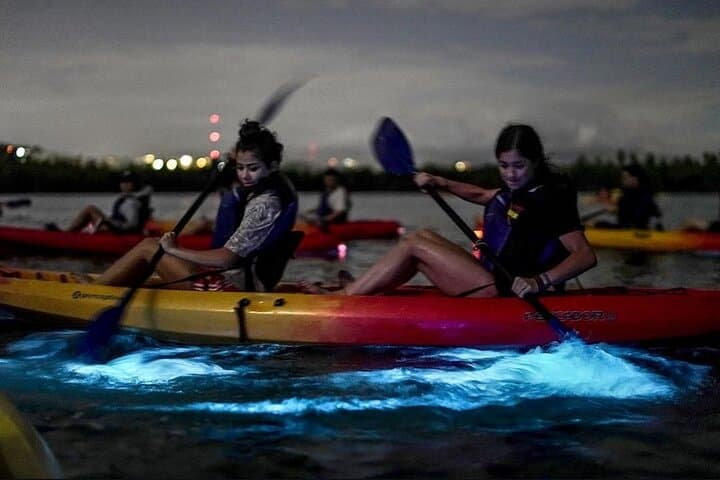 Bioluminescent Bay Kayak Tour in Fajardo — Laguna Grande Night Paddle
