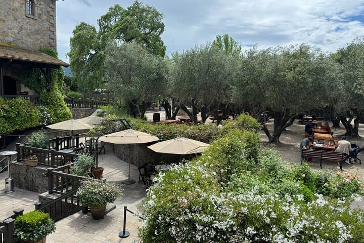Private 6-Hour Sonoma Boutique Wine Tour by Black SUV — Plan Your Tasting Day photo 5
