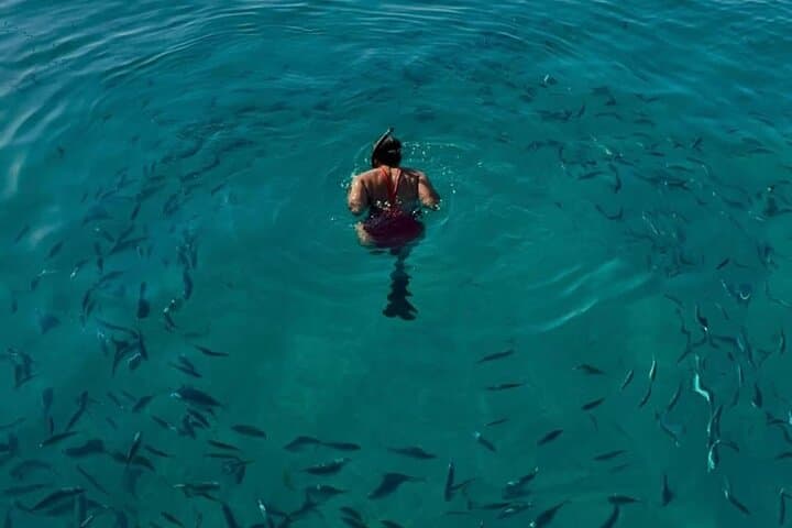 Private Lérins Islands Snorkeling Tour from Cannes: Underwater Sculptures & Hidden Coves photo 4